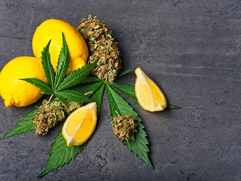 Weed strains with specific terpenes