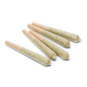 6 Pack Of Pre-Rolls