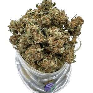 1oz or 2oz Special: Manolo OG